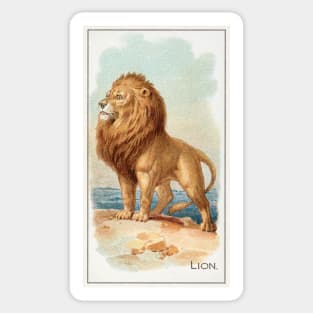 Lion (1890) Sticker